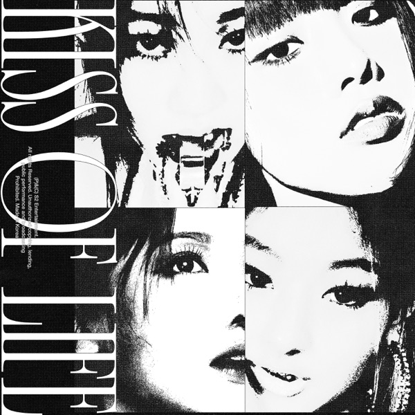 Born to be XX 专辑封面