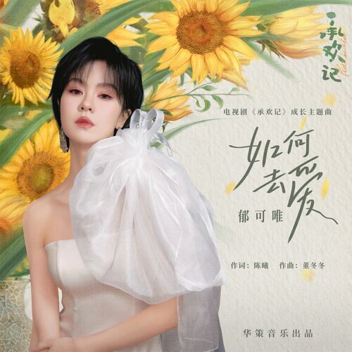 如何去爱 (电视剧《承欢记》成长主题曲) 专辑封面
