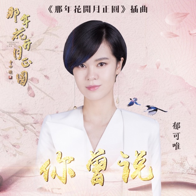 你曾说 (电视剧《那年花开月正圆》) 专辑封面