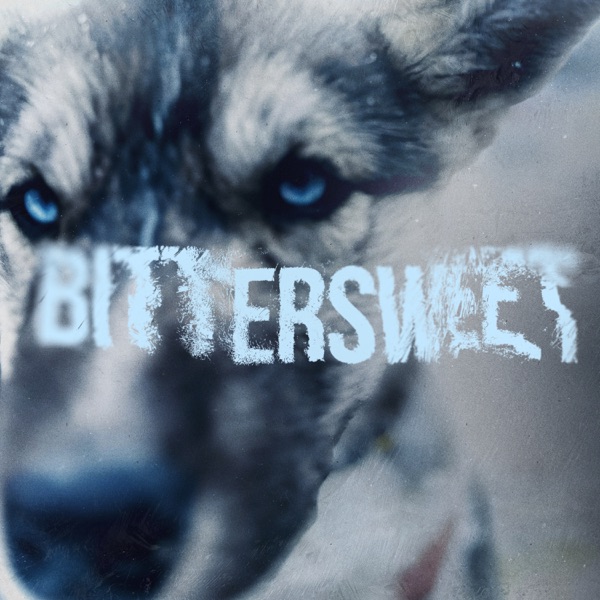 Bittersweet  专辑封面