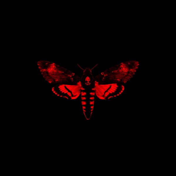 I Am Not a Human Being II 专辑封面