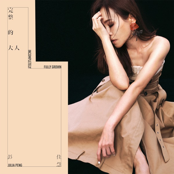 完整的大人  专辑封面