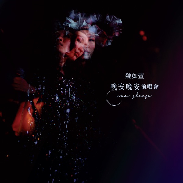 晚安晚安演唱会 专辑封面
