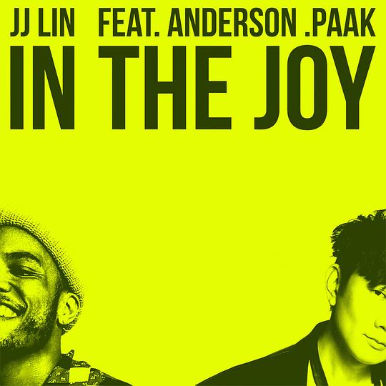 In The Joy  专辑封面