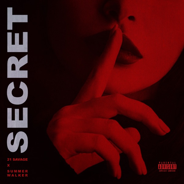 Secret 专辑封面