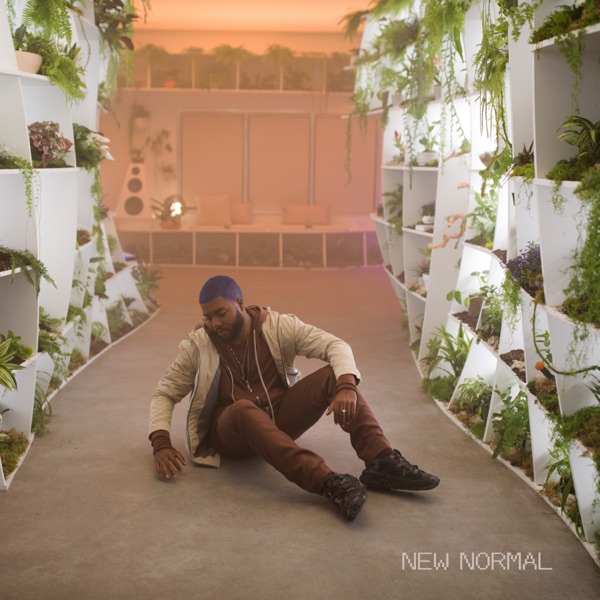 New Normal 专辑封面