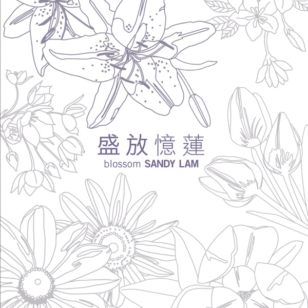 盛放忆莲  专辑封面