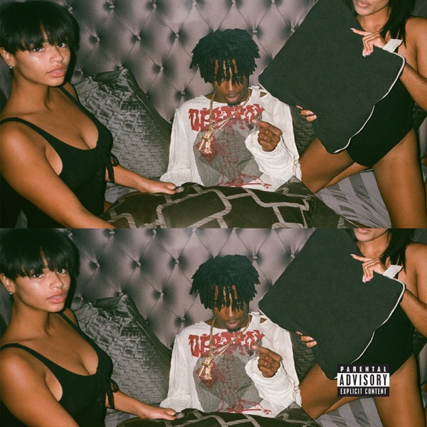 Playboi Carti 专辑封面
