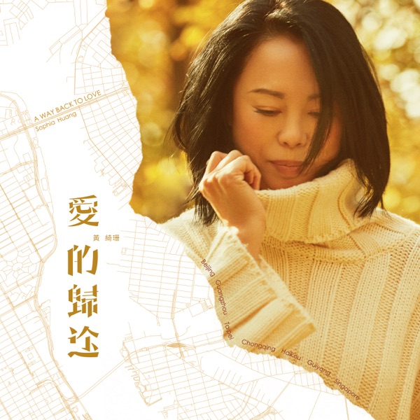 爱的归途 专辑封面