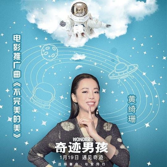不完美的美 (电影《奇迹男孩》推广曲) 专辑封面