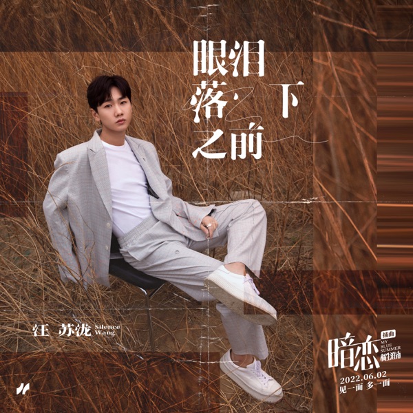 眼泪落下之前 (电影《暗恋·橘生淮南》插曲) 专辑封面