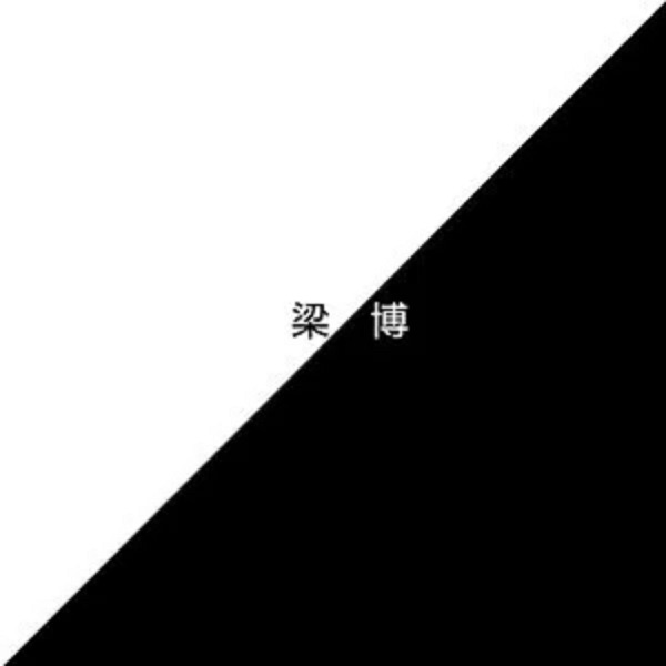 梁博 专辑封面