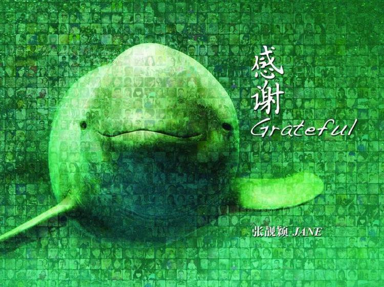 感谢 专辑封面