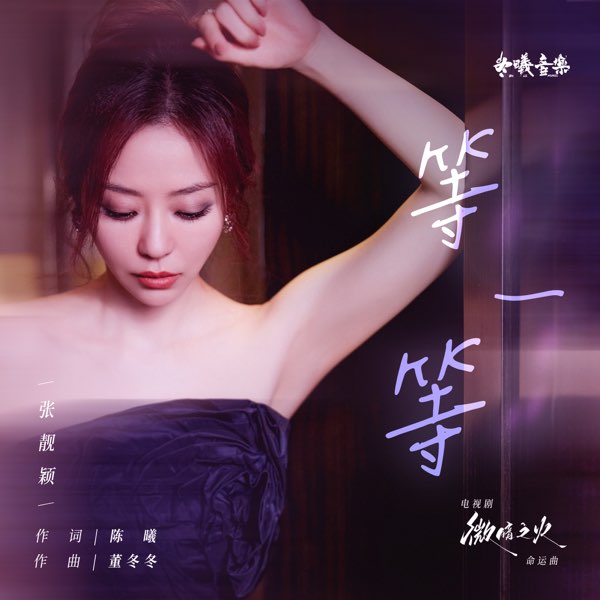 等一等 (电视剧《微暗之火》命运曲)  专辑封面