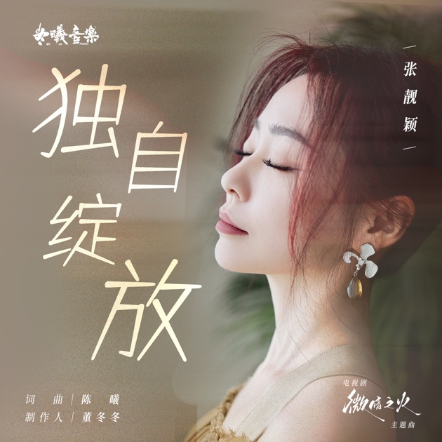 独自绽放 (电视剧《微暗之火》主题曲) 专辑封面