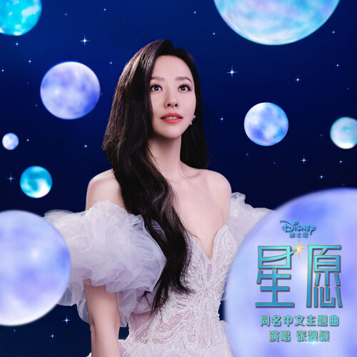 星愿 (电影同名中文主题曲) 专辑封面