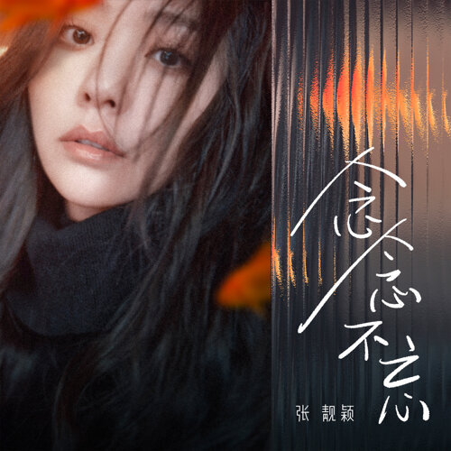 念念不忘 (电影《念念相忘》主题曲)  专辑封面
