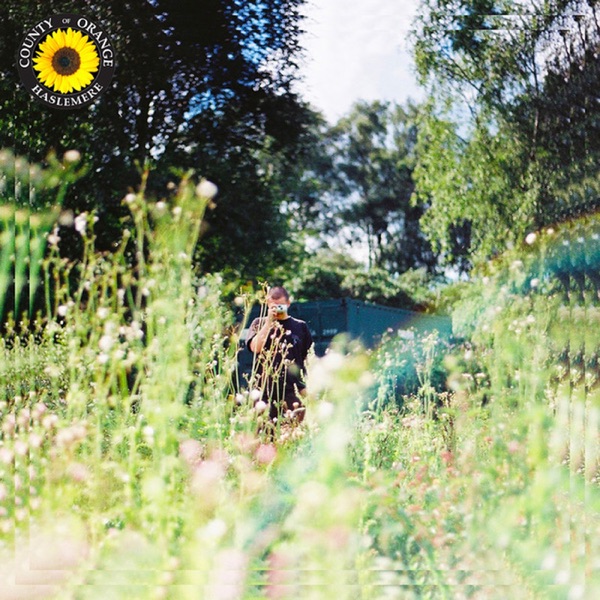 Sunflower 专辑封面