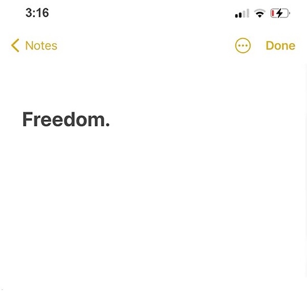 Freedom. 专辑封面